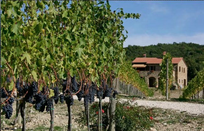 Incontri enogastronomici di avvicinamento al vino con degustazione “Uguali ma Diversi”
