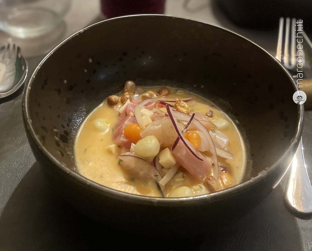 Il ceviche di Sevi Firenze