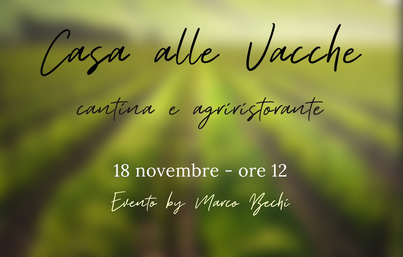 Casa alle Vacche cantina e agriristorante a San Gimignano