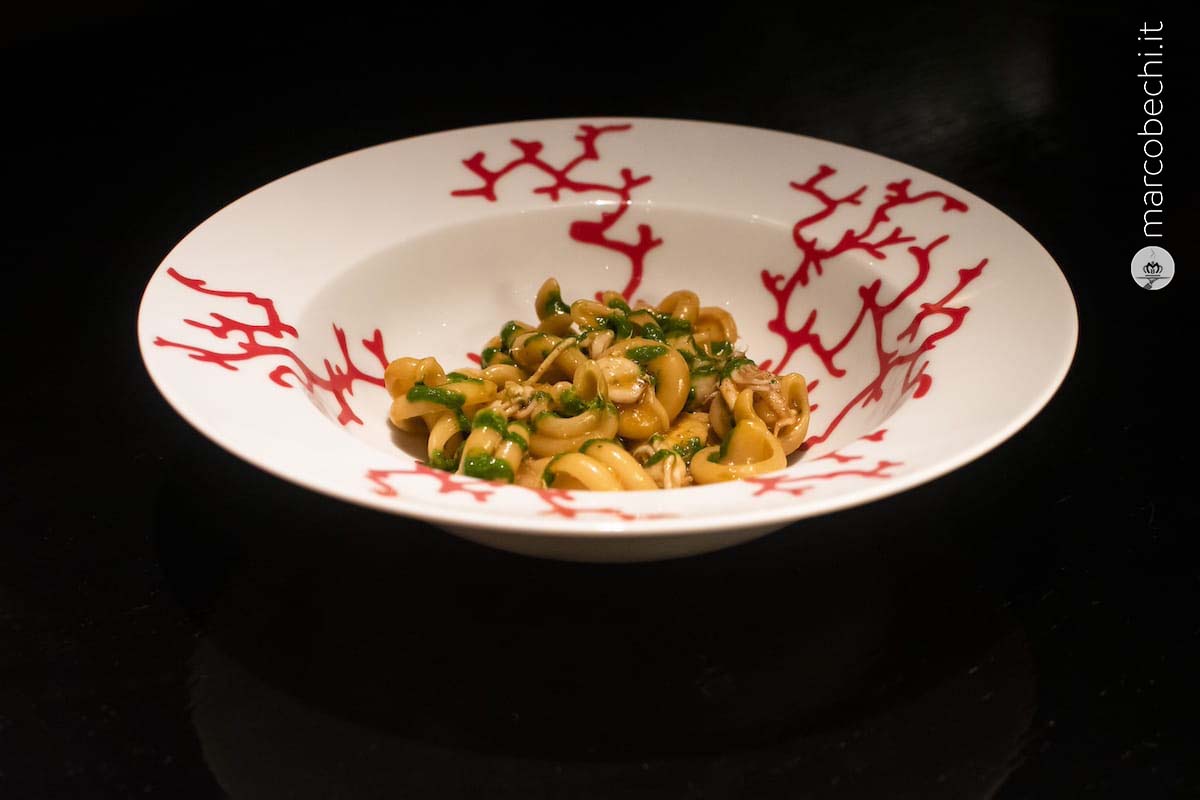 Pasta Vesuvio, Cacciucco, Calamaretti e Gobbetti