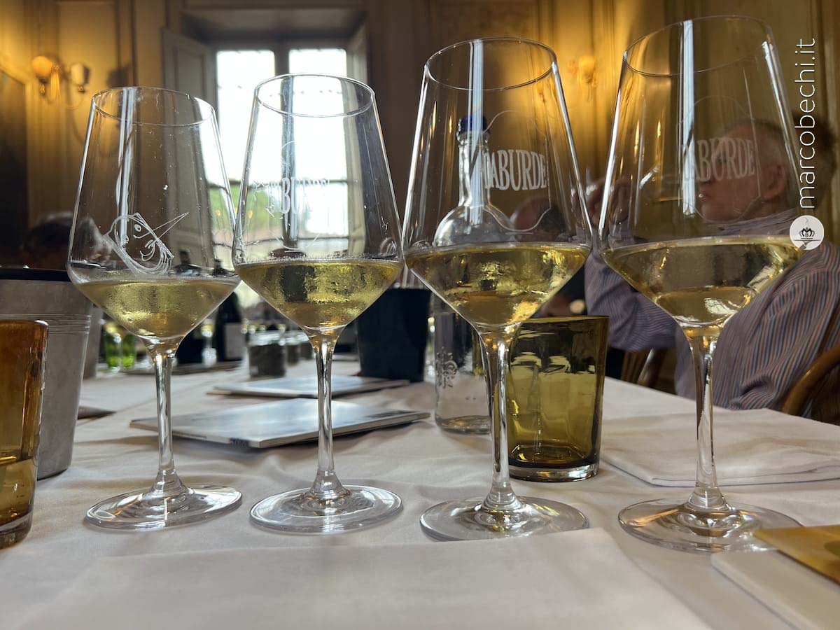 La Malvasia di Candia aromatica dei Colli Piacentini