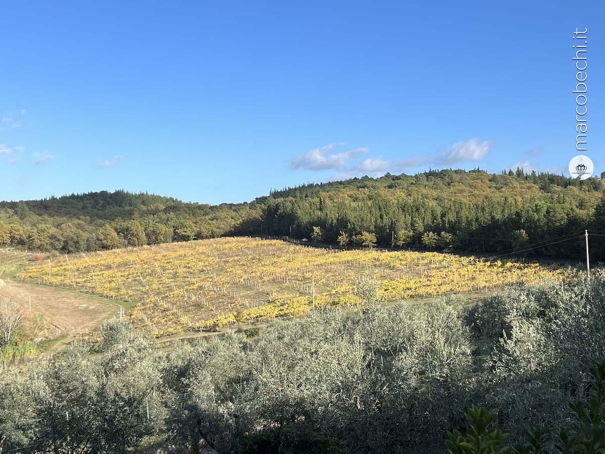La novità è rimanere fedeli al passato a Pieve di Campoli