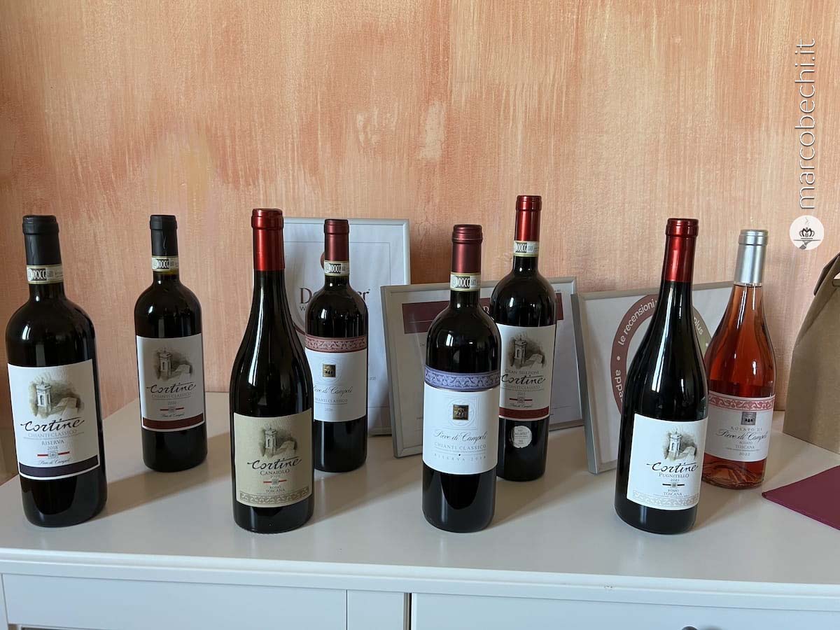 I vini di Cortine e Pieve di Campoli
