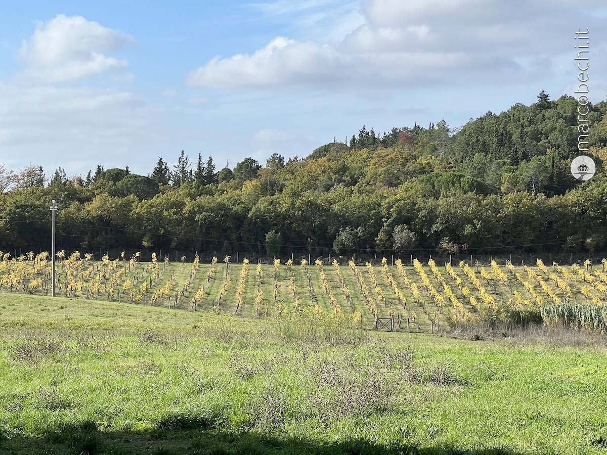 La novità è rimanere fedeli al passato a Pieve di Campoli