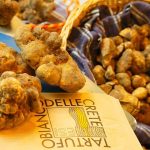 Il Tartufo Bianco delle Crete in mostra a Novembre a San Giovanni d’Asso