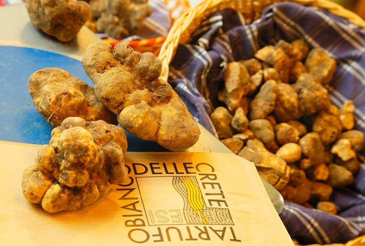 Il Tartufo Bianco delle Crete in mostra a Novembre a San Giovanni d’Asso