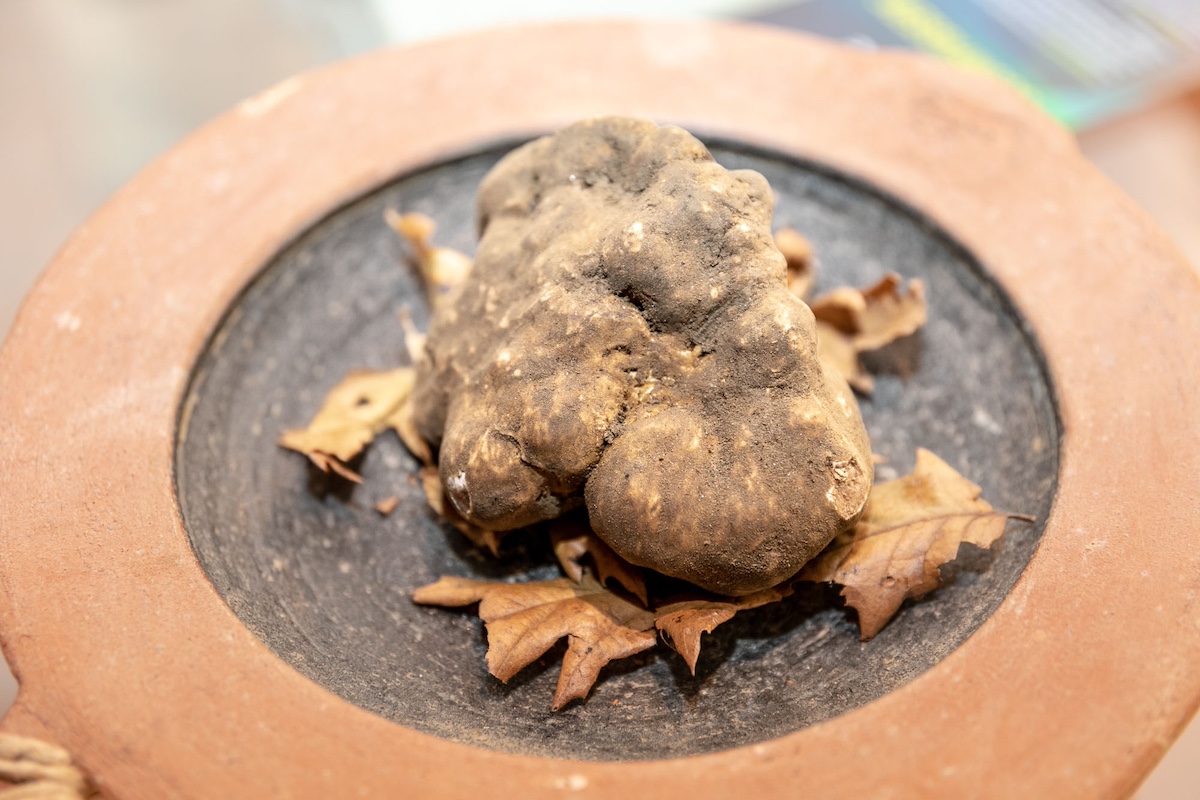 Il Tartufo delle Crete