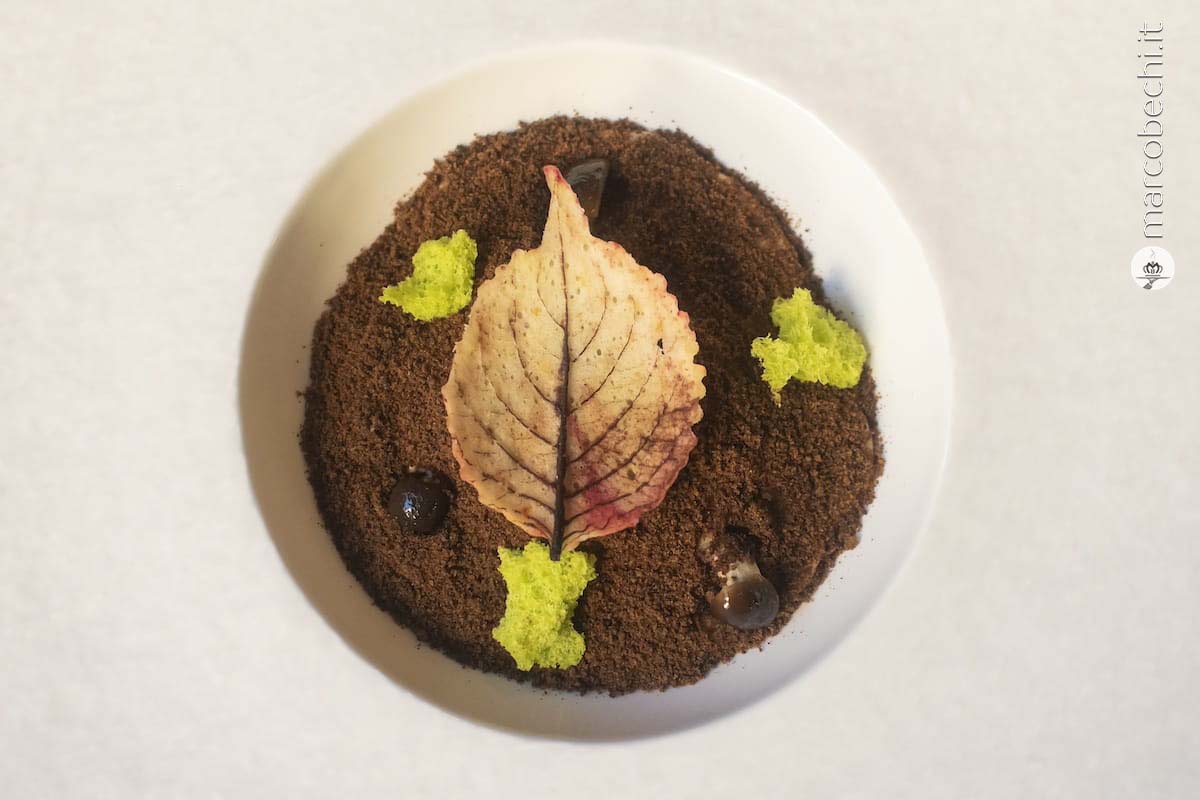 Sottobosco all'essenza di pino:castagne arrosto, patate al burro e porcini saltati al timo con brunoise di tartufo nero, spuma e terra di funghi porcini, funghi pioppini e spugna al prezzemolo