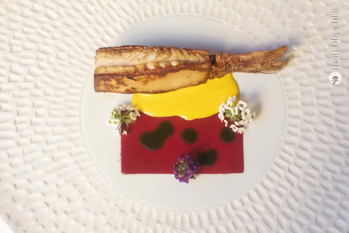 La Triglia con gelatina alla barbabietola, clorofilla di spinaci e umami di sedano con finitura di salsa allo zafferano.