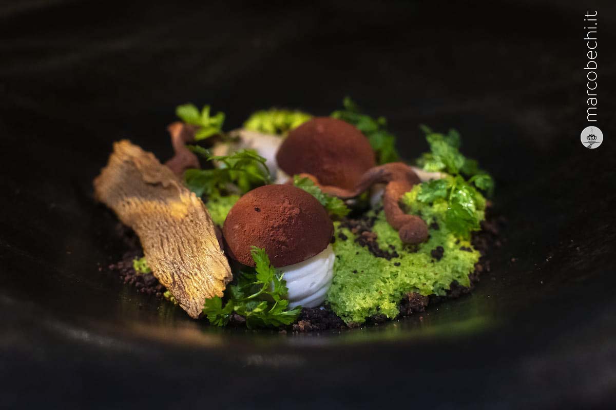 Castagne, porcino e olivello spinoso