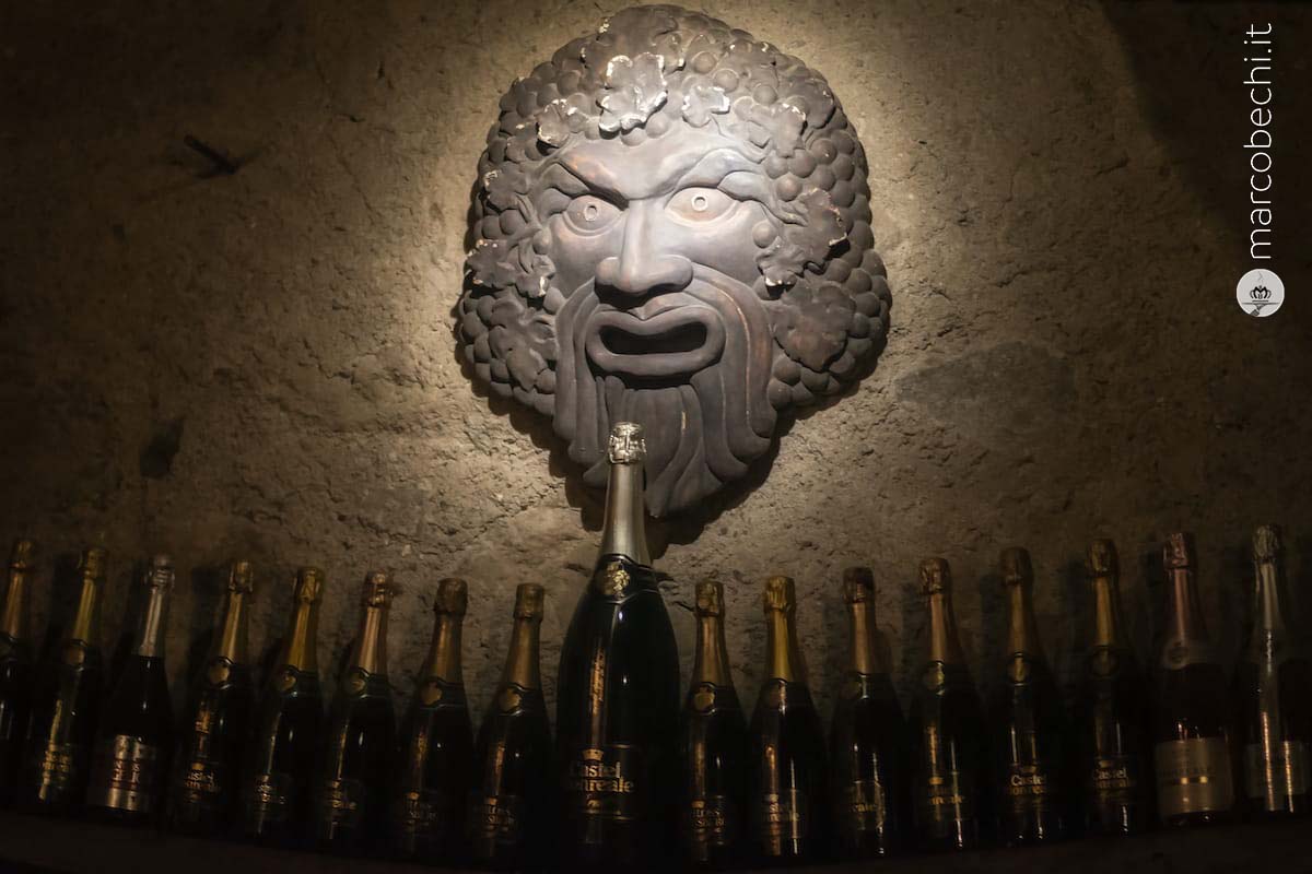 Un particolare della cantina 