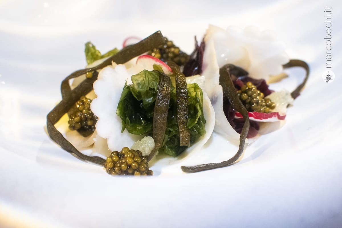 Sedano rapa sotto sale, kohirabi, alghe, kefir, caviale Oscetra, vinaigrette alle ostriche