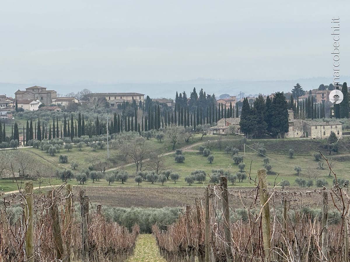 Felsina
