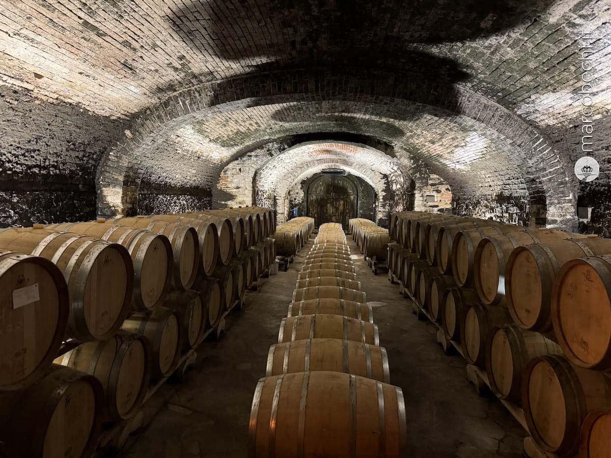 La cantina di Fèlsina