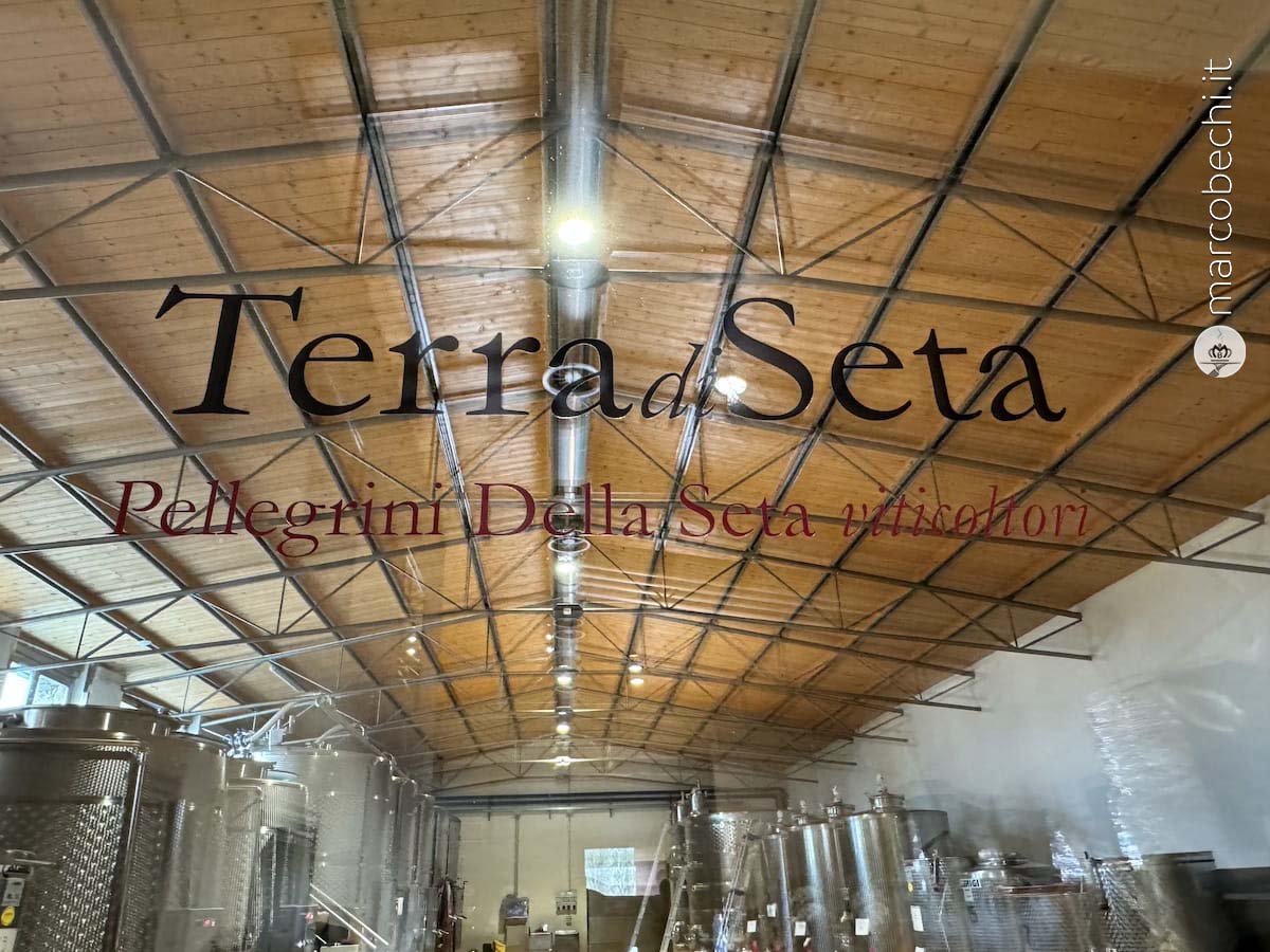 Terra di Seta la rivoluzione del vino Kosher