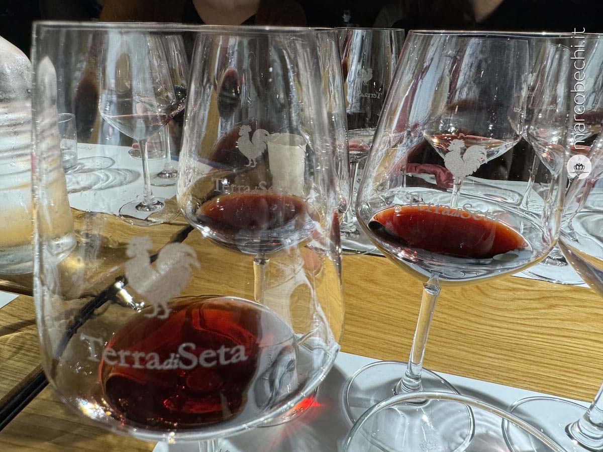 Terra di Seta - La degustazione