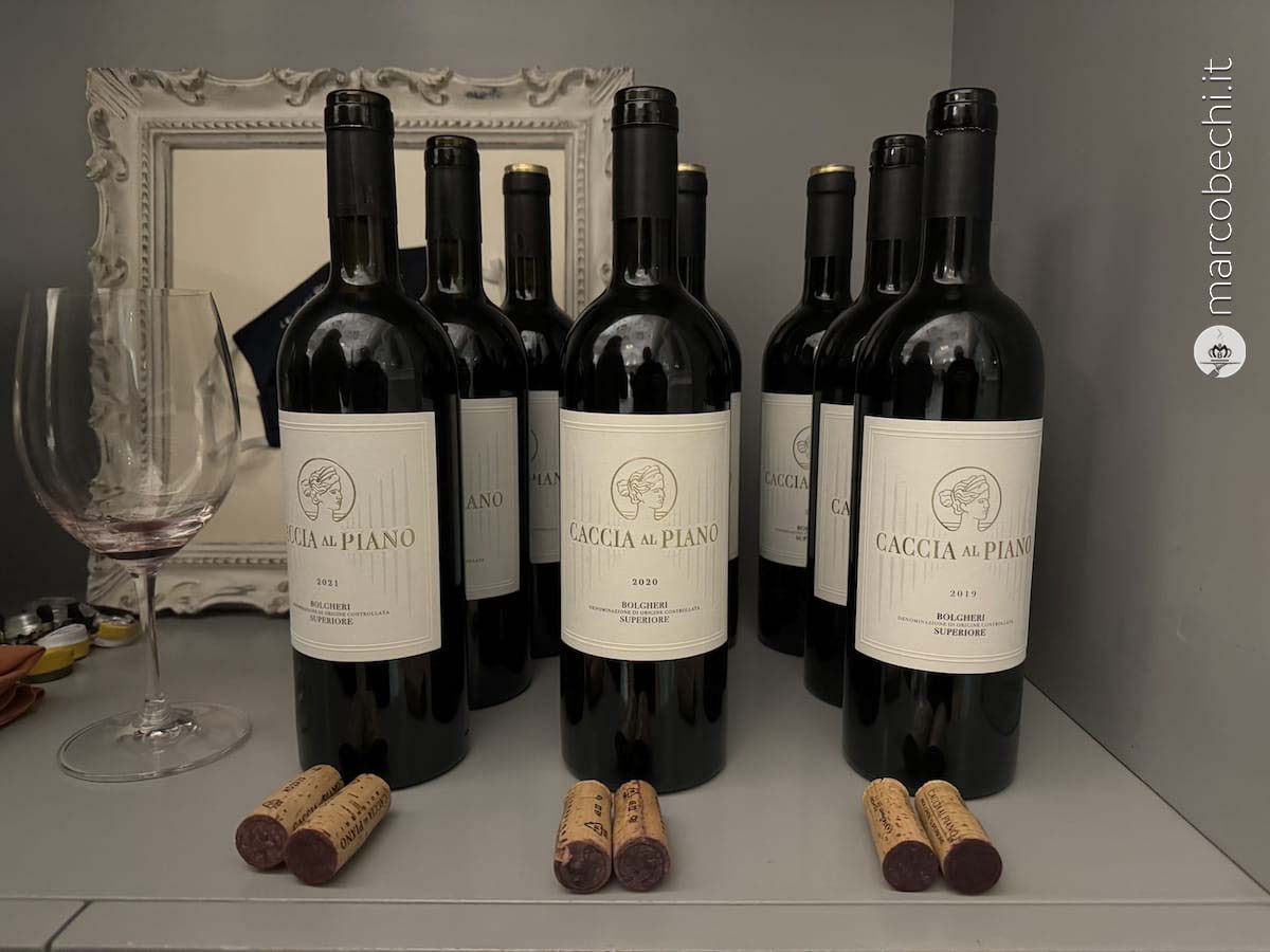 I vini in degustazione