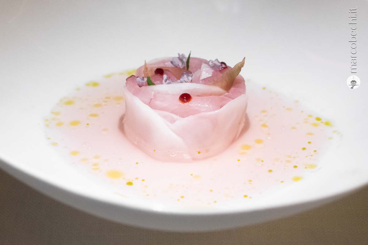 Ricciola, rapa, acqua di finocchio piccante e ume kosho