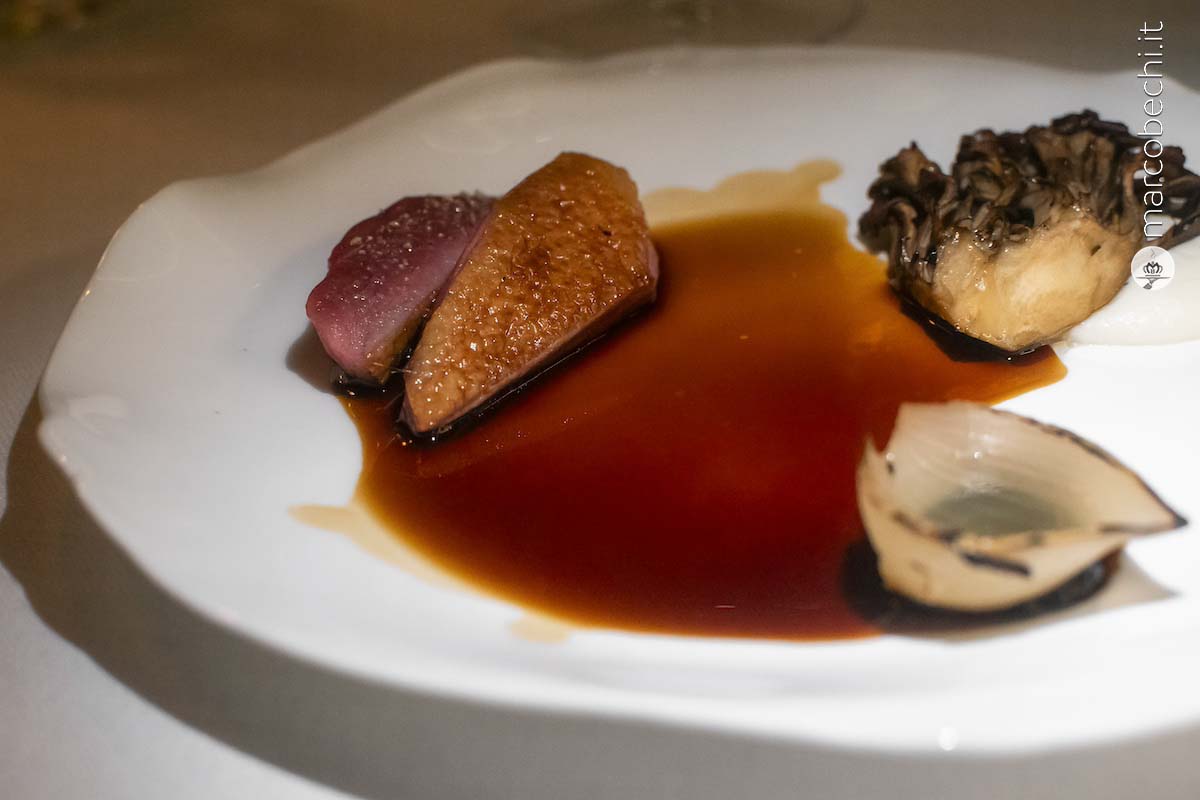 Piccione, cipolla e maitake accompagnato dalla sua salsa
