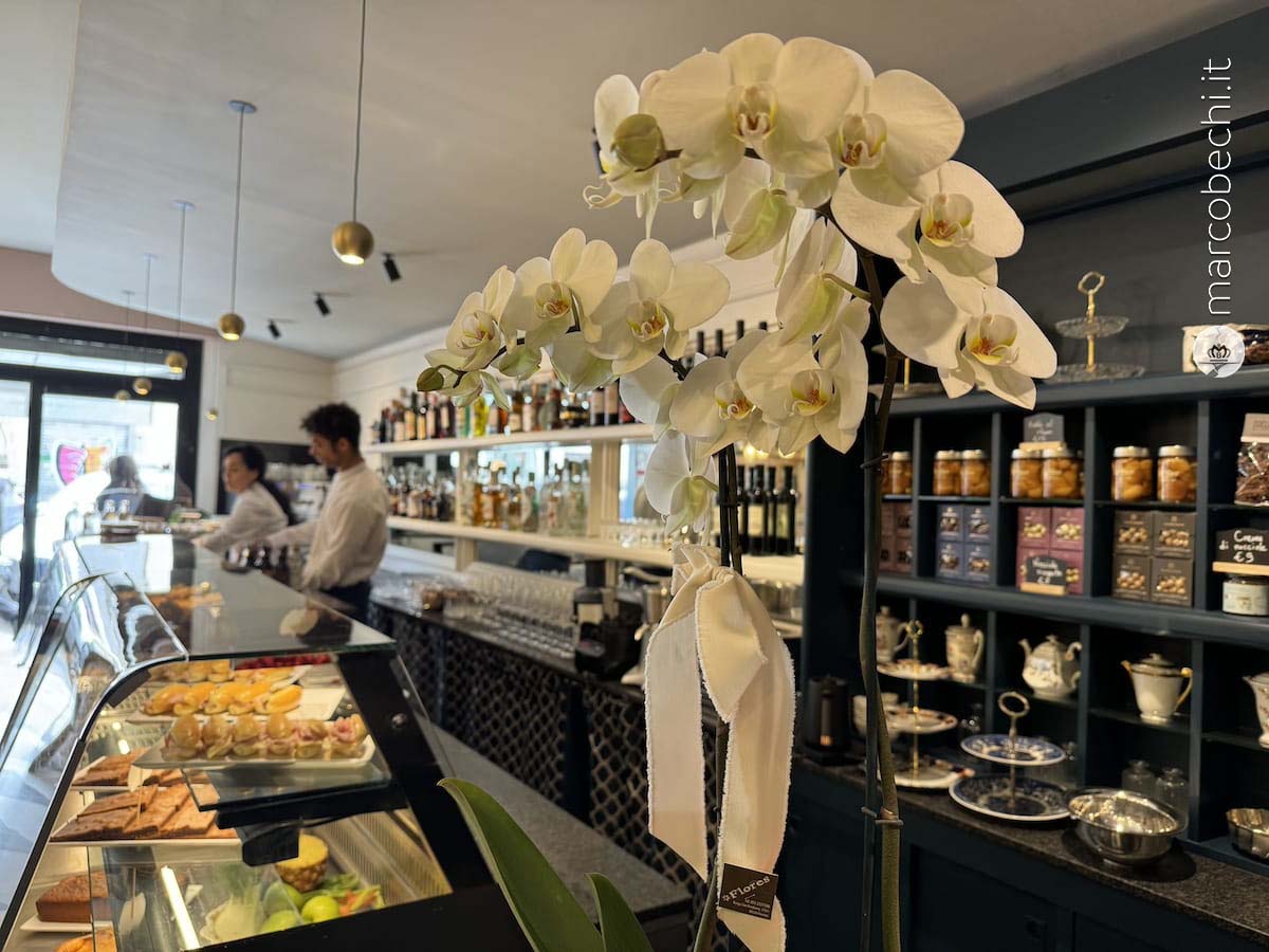 Wanda Caffè Firenze
