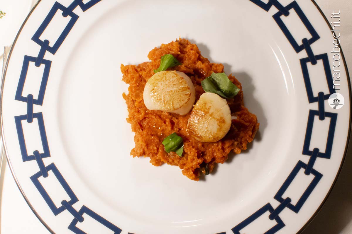 Capesante alla piastra con pappa al pomodoro