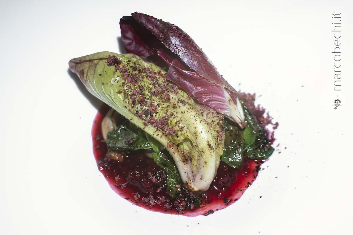 Radicchio di campo in due consistenze, con salsa di aceto di lamponi e polvere di liquirizia,