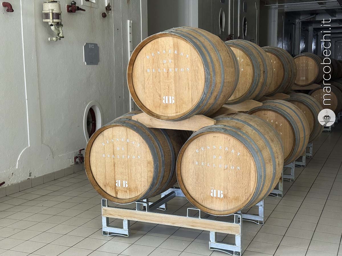 Besserat de Bellefon lo champagne gastronomico