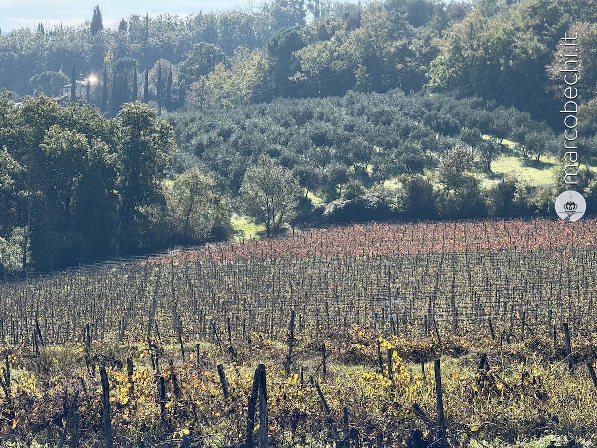 Podere Ema