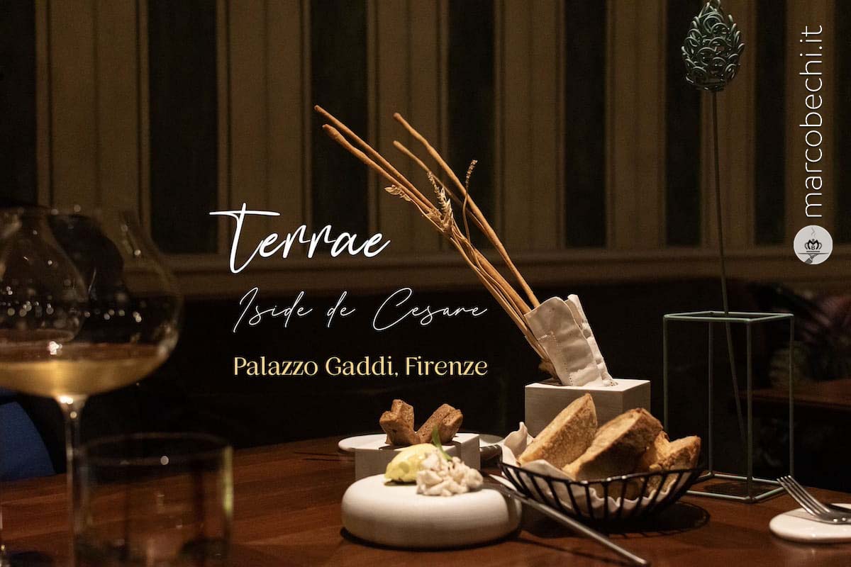 Terrae by Iside De Cesare
