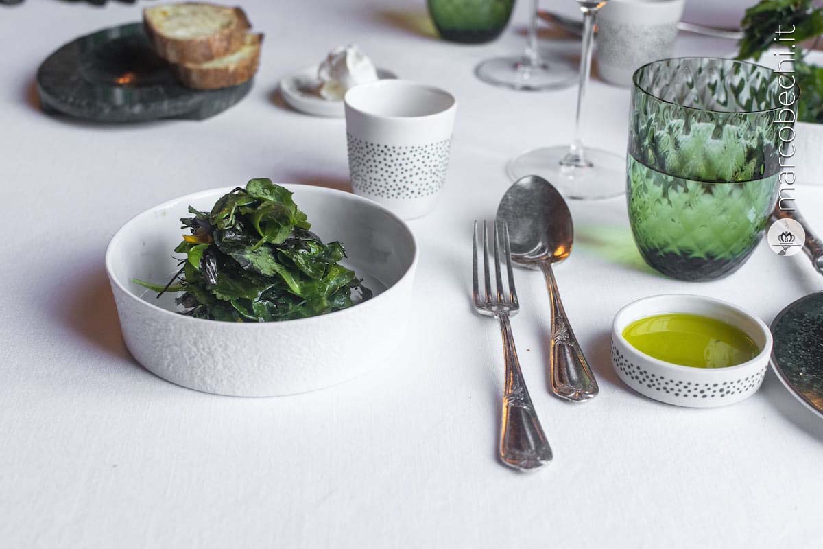 Insalata, radici , kombucha al miele
