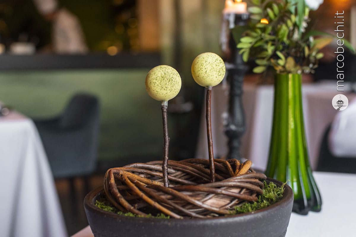 Lollipop di verbena