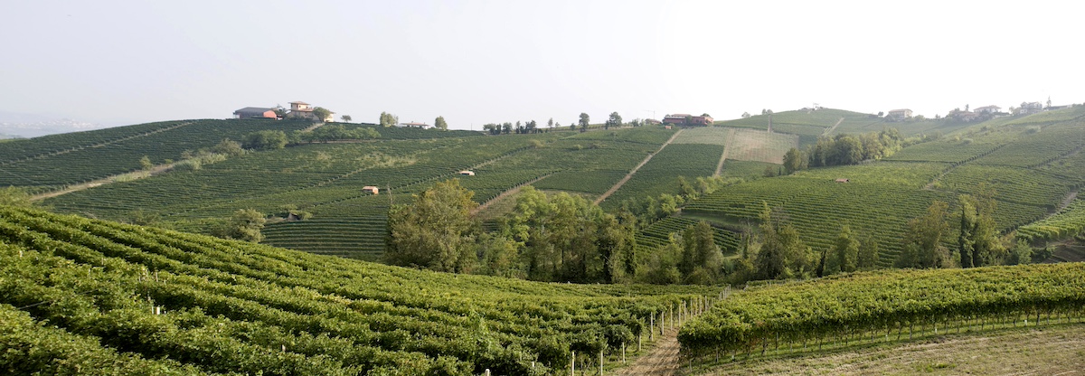 Le vigne di Vietti