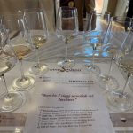 La Masterclass a Wine&Siena