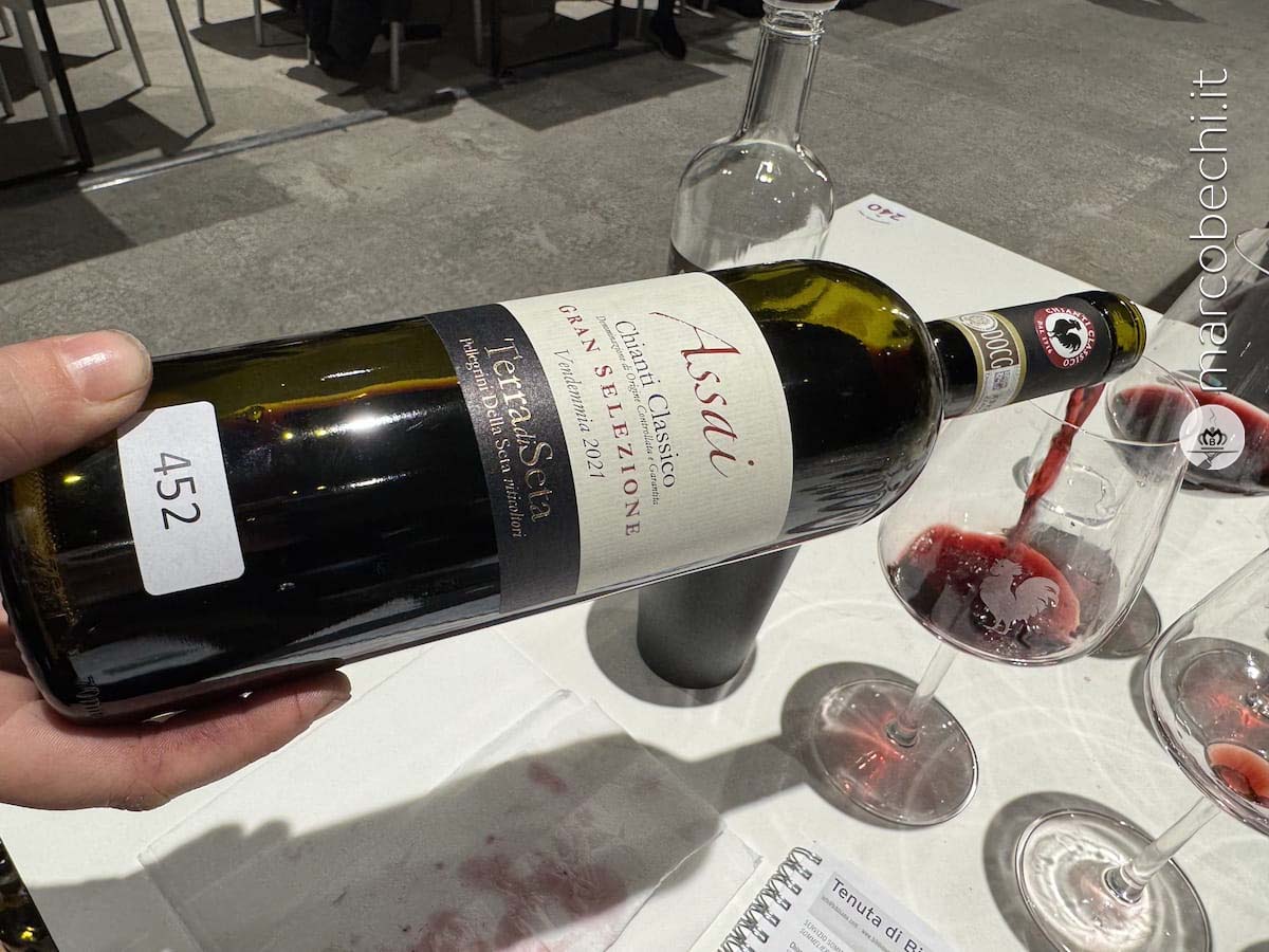 Chianti Classico Gran Selezione Terre di Seta Assai 2021