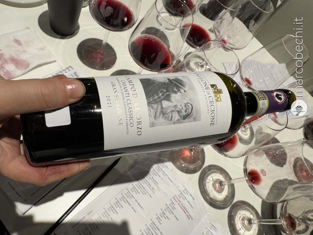 Chianti Classico Gran Selezione Vallone di Cecione Campo dell'Oro 2021