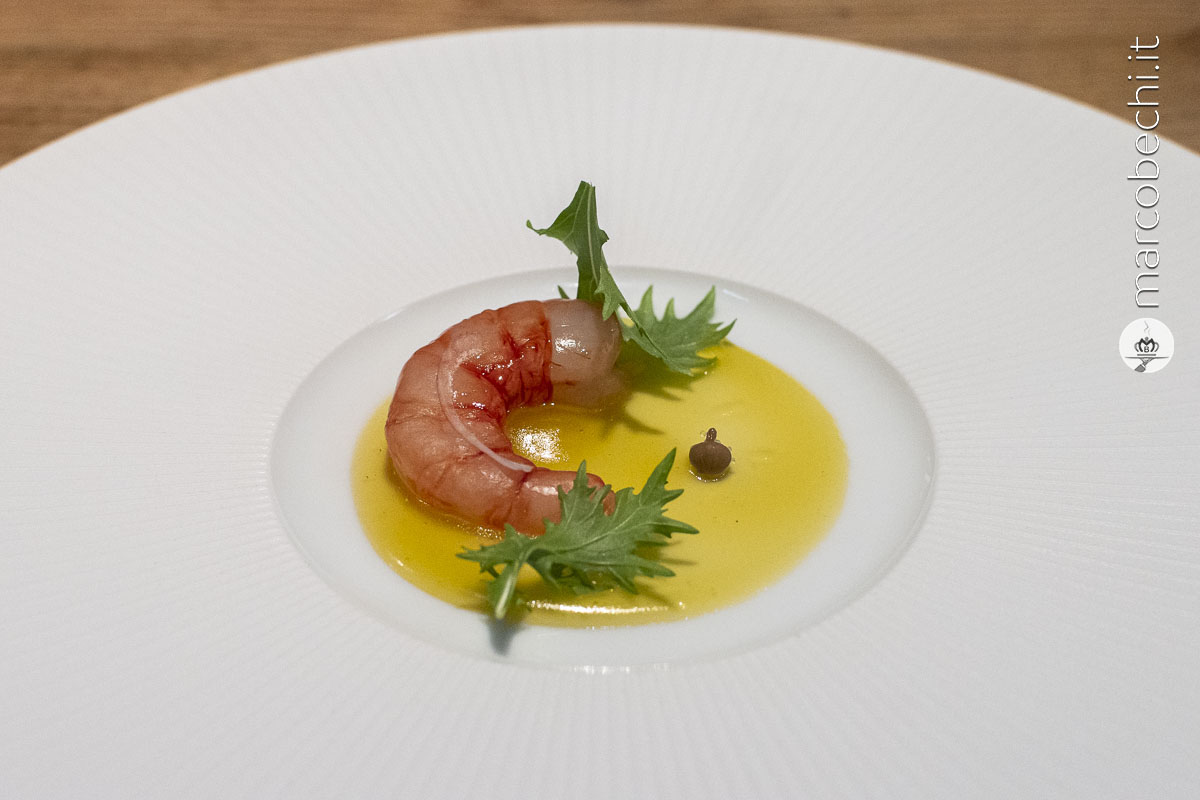 Gambero: Gambero rosso crudo, olio, limone e miele