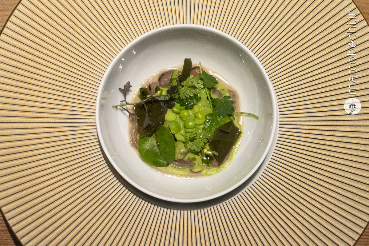 Erba e fave: Zuppa primaverile di fave dell’Amerino, estratto di erbe amare e foglie di cappero