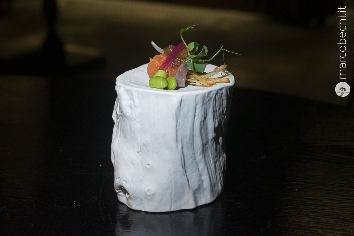 Roll di salmone norvegese