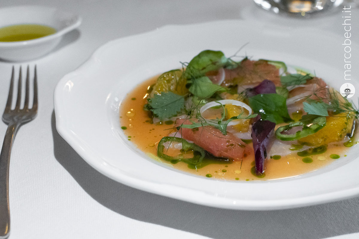 Ombrina e agrumicarpaccio di ombrina, insalata di agrumi, cipollotto, peperoncino dolce
