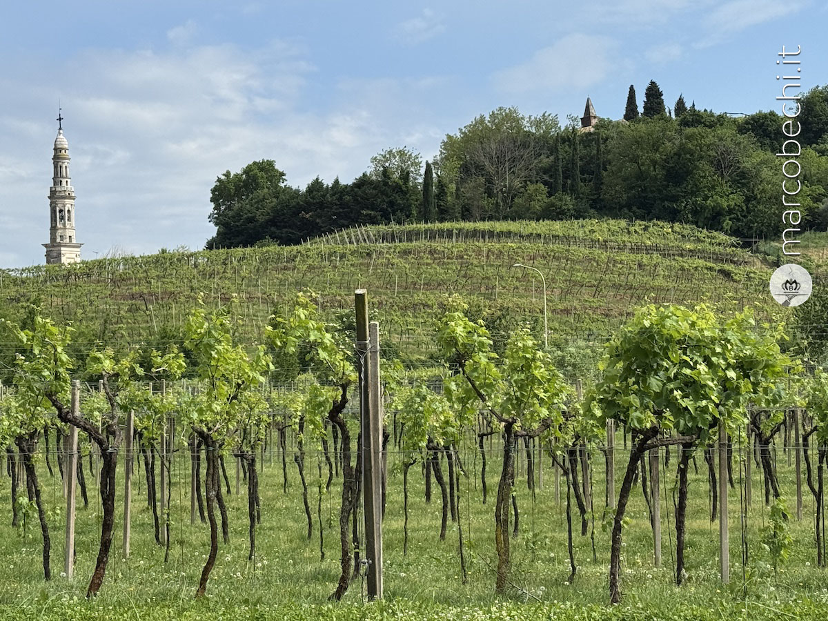Le vigne di Graziano Prà