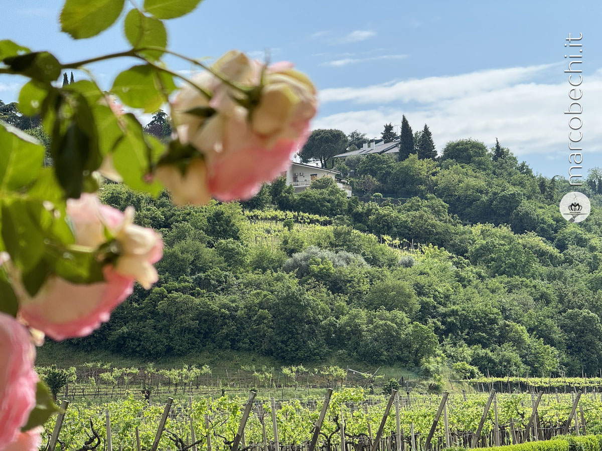Le vigne di Graziano Prà