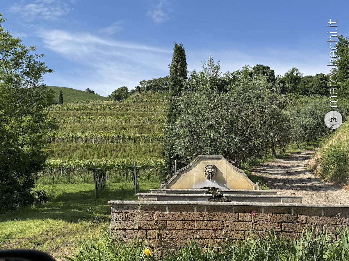 Le vigne di Graziano Prà