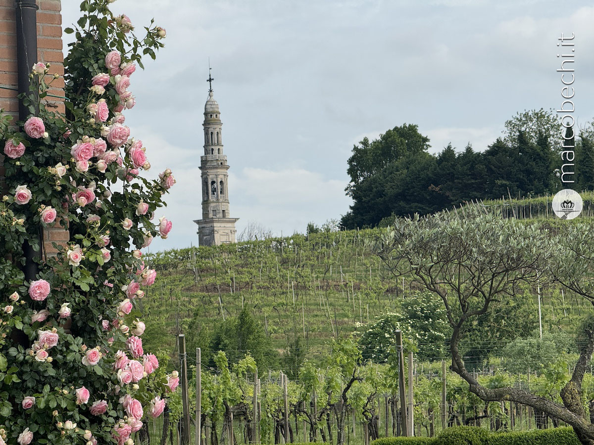 Le vigne di Graziano Prà