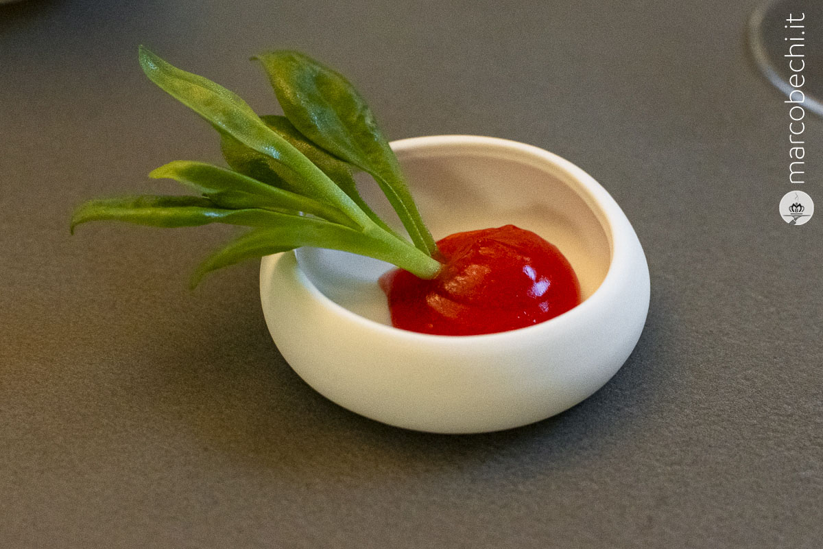 Le Amuse Bouche