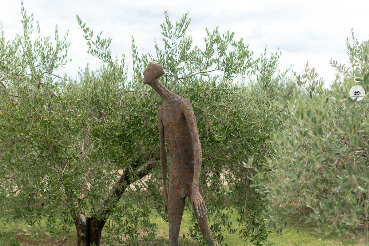 L'arte nell'oliveta