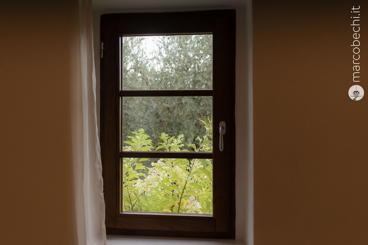 La finestra sul verde
