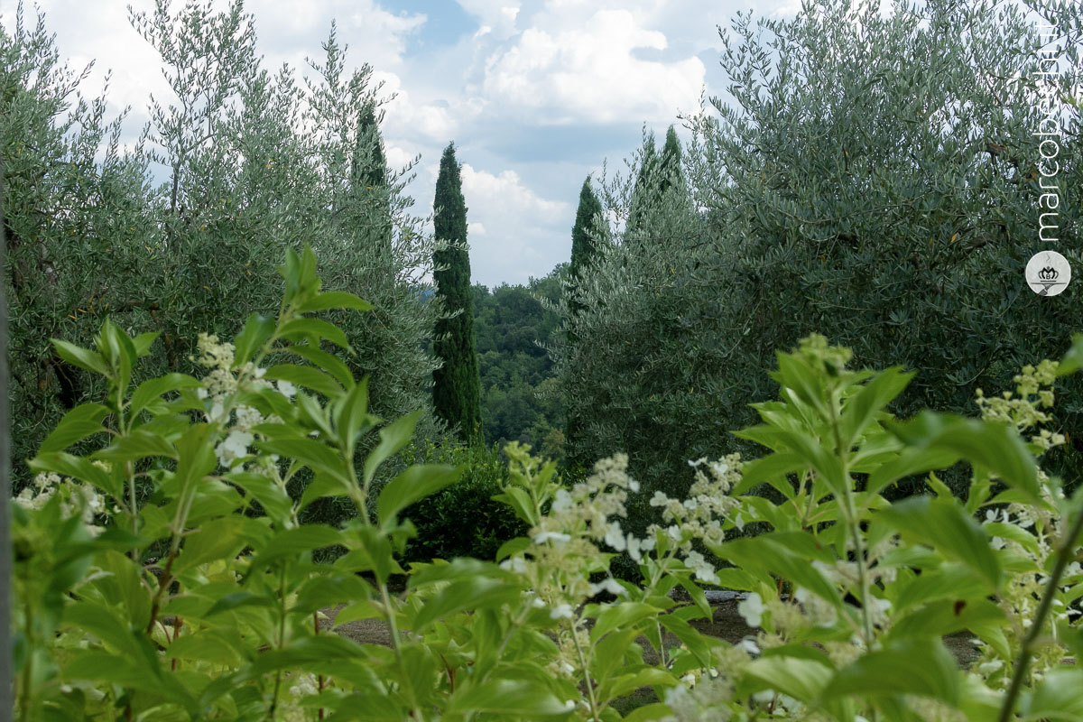 Il verde di Spaltenna