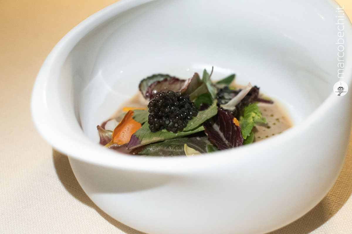 Insalata di 26 erbe
