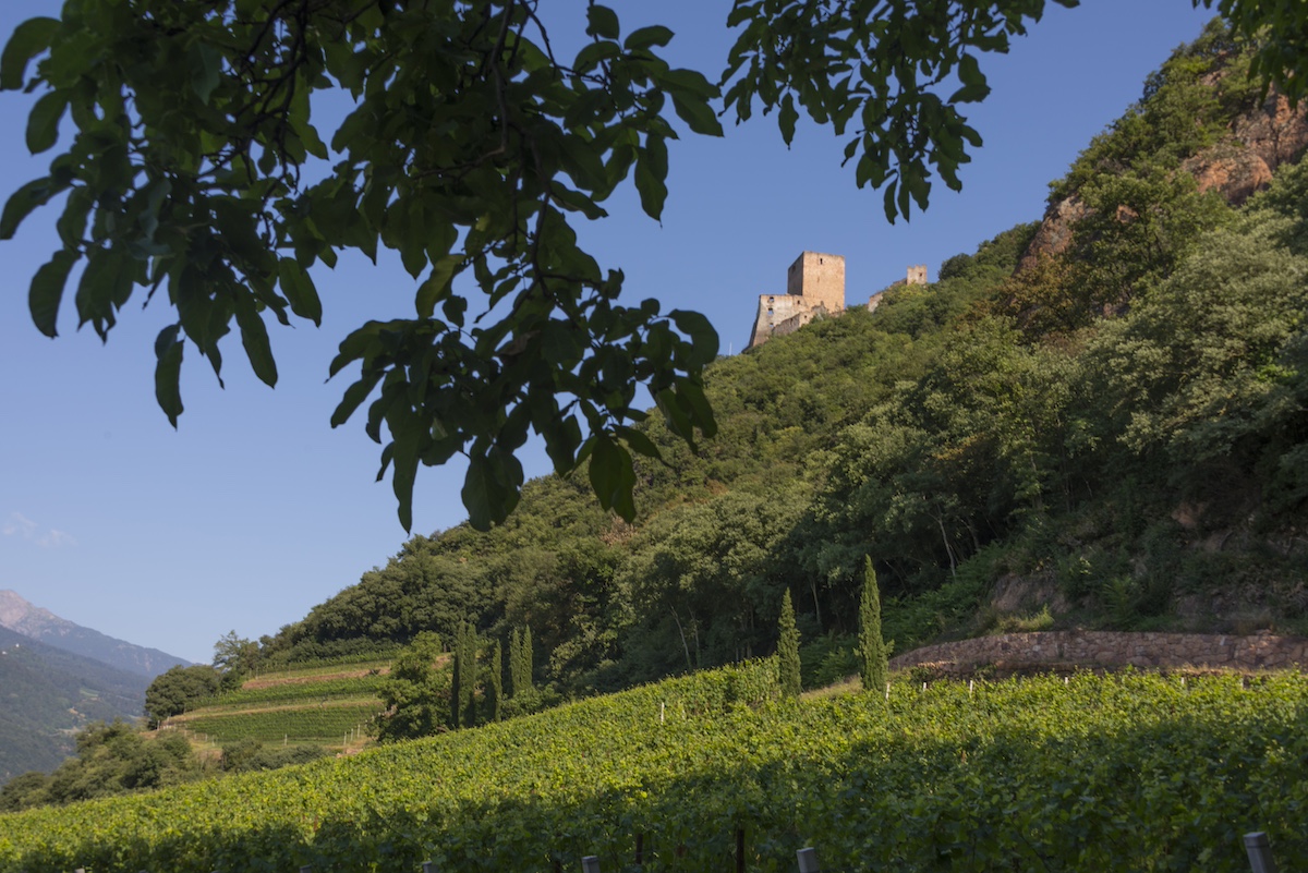 Cantina Terlano_Castello Nova Domus