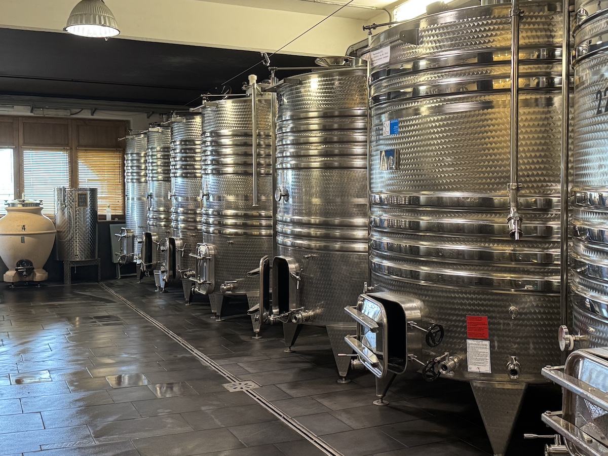 La cantina di vinificazione